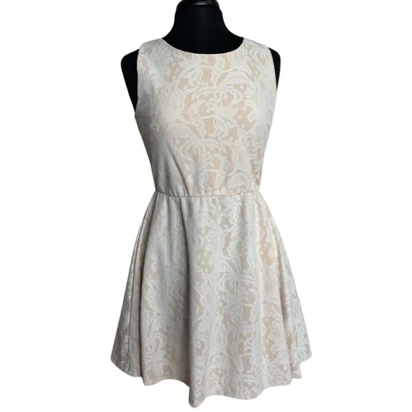 HEARTSOUL Cream Lace Dress Sleeveless Large Fit Flare Light Blush - Picture 1 of 10